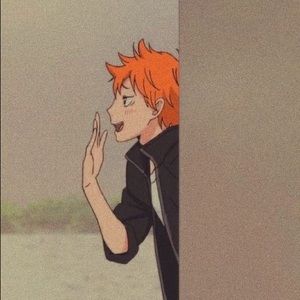 Meet your Posher, Raven